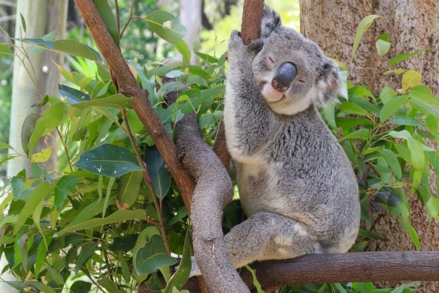 Fun in Gold Coast — photo 2